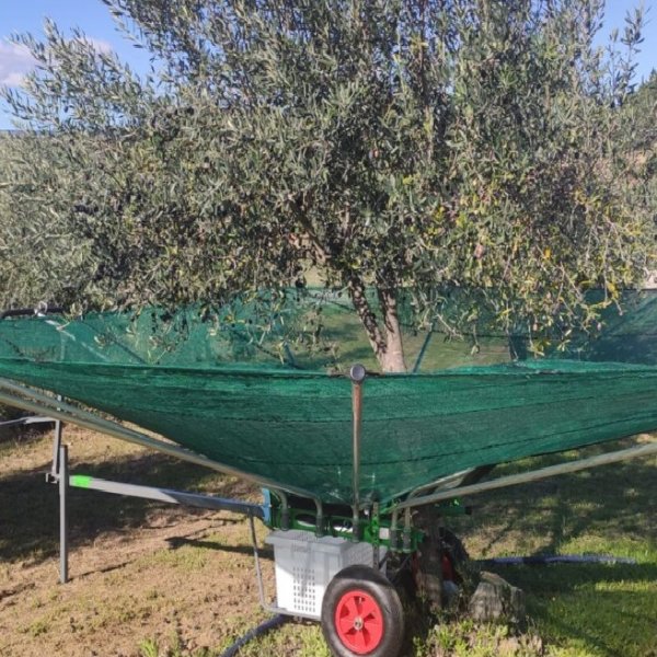 Recolhedor Azeitona e Frutos sêcos 4,5m