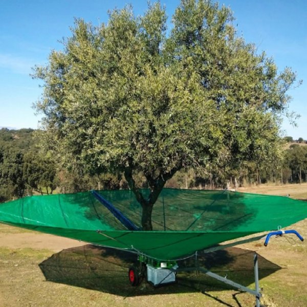 Recolhedor de Azeitona e Frutos sêcos 6m