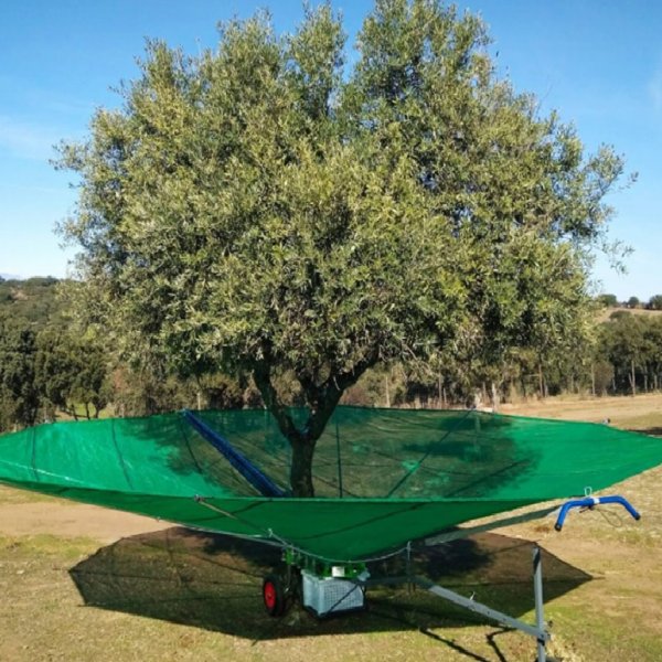 Recolhedor de Azeitona e Frutos sêcos 7m